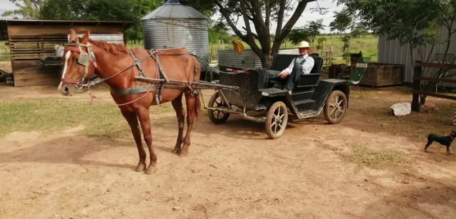 Un menonita en una buggie