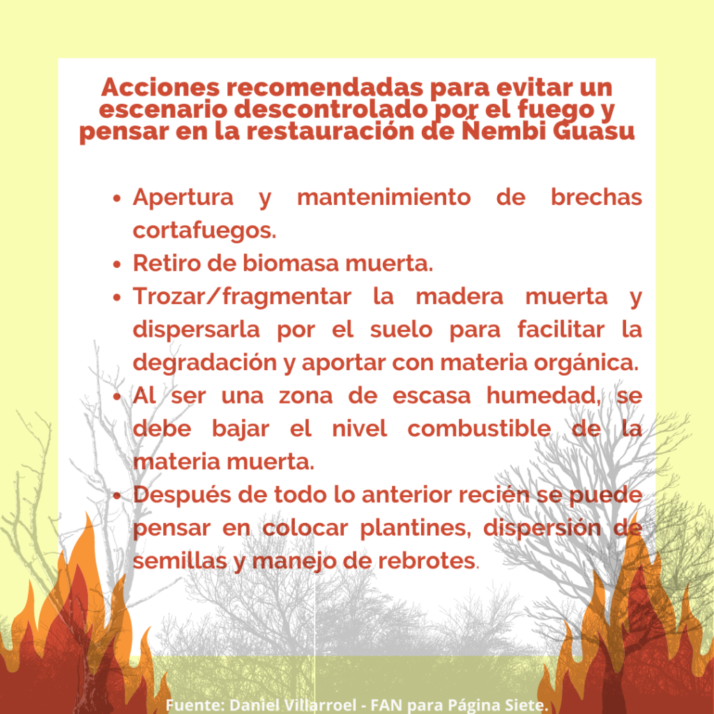 Ñembi Guasu acciones