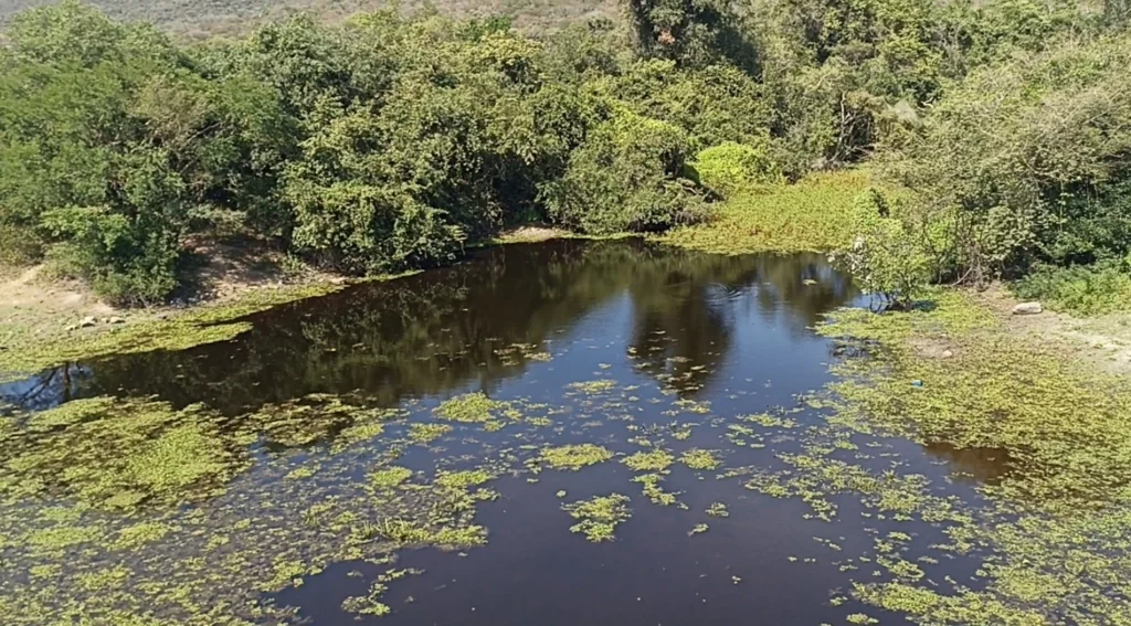 la laguna Concepción esta seca